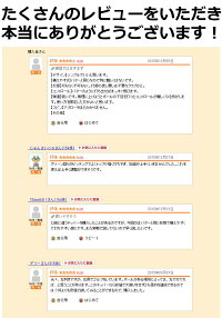 グリーン周りの必需品アプローチクラブチッパー右用・左用パター感覚バンカー,使い方,アイアン,ウェッジ,角度,初心者,スイング,飛距離【右利き用/左利き用】【WORLDEAGLE】【ポイント2倍】【最安値に挑戦】【あす楽】【02P07Feb16】
