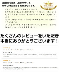 レーシングシステム搭載!ワールドイーグルE-LINEイーラインシューズ専用シューズ袋付き!WE-S01-ATOP-7