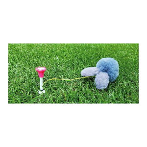 ObY eB[ Mtg Ry ܕi GW\St SteB[ p`[ yIRz