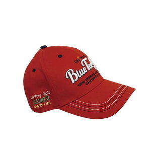 Y Lbv Xq X|[c u[eB[St RbgX}CLbv CP-001 yIRz