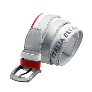 St lCuh tBSt ꂽIVȃYxg ̂Ȃ\tgf StEGA X|[cV[ɍœK JbgăfB[Xgp VjA F