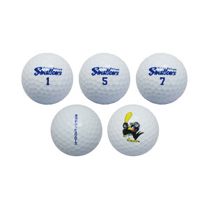 Stpi Ehpi St{[ v싅 NPBINgX[Y St{[ 6 YSBA-3756 yIRz