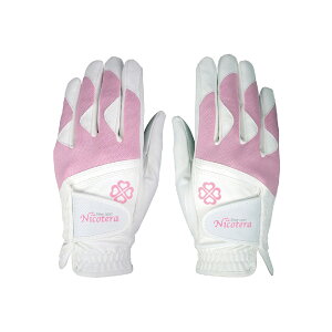 O[u  fB[X X|[c NICOTERA jRe fB[XpStO[u p NTGL-3407 yIRz