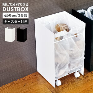 ダストボックス 2分別 幅30 奥行29 ごみ箱 分別 スチール製 ダストワゴン 目隠し ゴミ箱 日本製 清潔感 キャスター付き レジ袋スタンド くずかご シンプル おしゃれ 便利 新生活 一人暮らし
