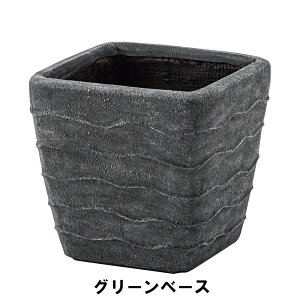 A O[x[X 31 s31 28.5cm K[f K[fpi Aؔ v^[