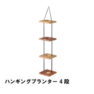 nMOv^[ 4i 20 s20 84cm K[f K[fpi Aؔ v^[