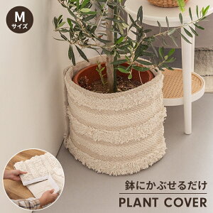 y|Cg5{ 11/21 10:00-12/05 09:59zv^[Jo[ AJo[ MTCY }bNe[v Vv  킢 CeA Ԃ邾 ͗lւ Rbg