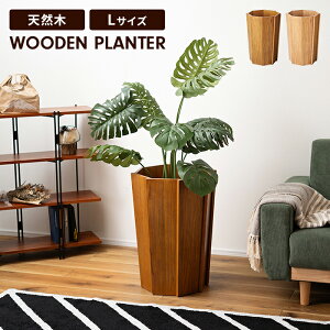 y|Cg5{ 11/21 10:00-12/05 09:59zEbhv^[ ؐ v^[ LTCY a42 60 CeA  i` ϗtA  G Vv