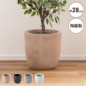 y|Cg5{ 11/21 10:00-12/05 09:59zA O[x[X 28cm K[fpi  ꌊ i  _ Vv CeA ϗtA G