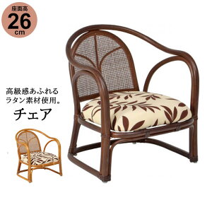 ylz`FA 48×55×57cm ʍ30cm i It ىƋ ^  ֎q CX `FA[ 