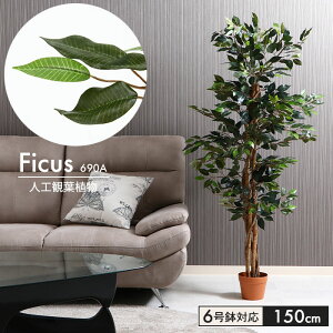 観葉植物 フェイク 大型 フェイクグリーン フィカス 高さ 150cm 6号鉢対応 人工 造花 フェイク グリーン シンプル オフィス おしゃれ 観葉 植物 鉢植え インテリア 高い 大きい 室内 鉢 お手入