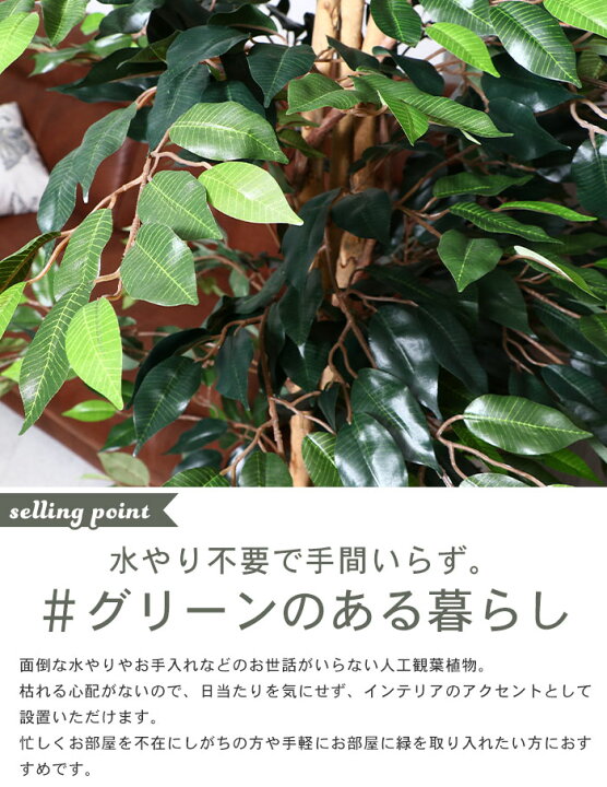 フェイクグリーン 観葉植物 7号鉢対応 170cm M5 Mgkfgb インテリア フィカス 人工 目隠し 造花 高さ 新規購入 人工 フェイクグリーン 観葉植物 7号鉢対応 170cm M5 Mgkfgb インテリア フィカス 人工 目隠し 造花 高さ 新規購入 人工