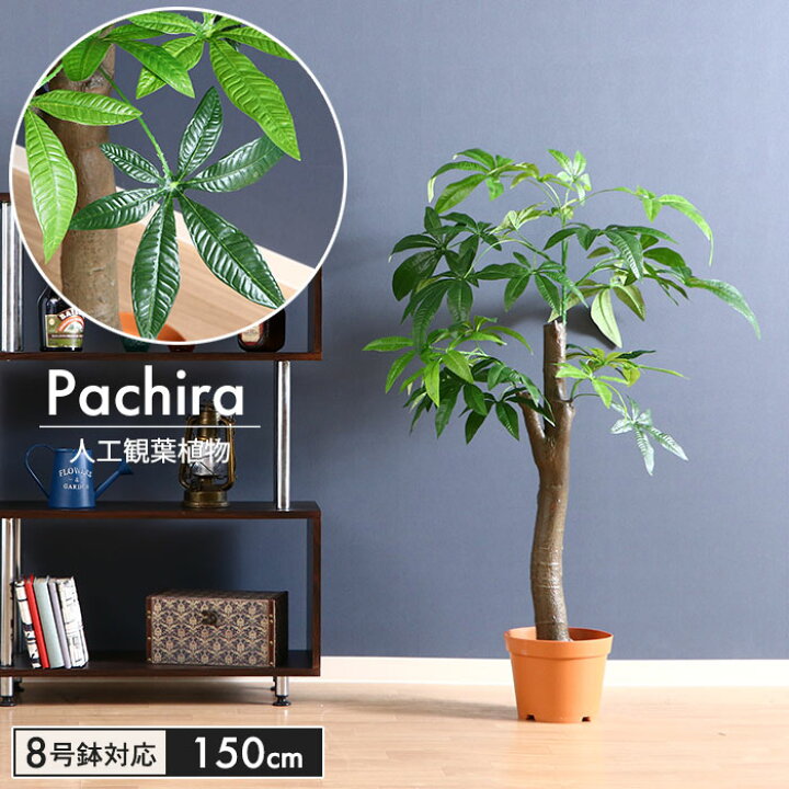 楽天市場 観葉植物 フェイク 大型 フェイクグリーン パキラ 朴の木タイプ 高さ 150cm 8号鉢対応 人工 造花 フェイク グリーン シンプル オフィス おしゃれ 観葉 植物 鉢植え インテリア 高い 大きい 室内 鉢 お手入れ 不要 間仕切り 目隠し リビング さんじょうインテリア