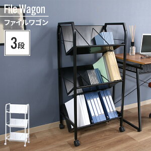 bN LX^[ 3i t@CS 55×40×112cm {I  zCg [ X t@CbN ΂ X o₷ 