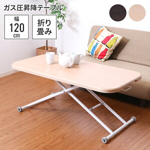 ylze[u ~ Ch L  V 120×60 ؖڒ fXN  ` p\RfXN ׋ teBOe[u KX