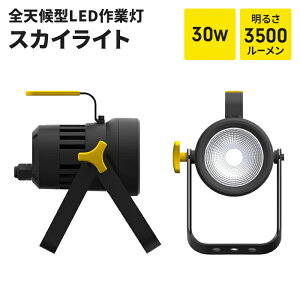 [NCg RZg Ɠ  LED Cg 30W 1 IP65 hJ  Ə q Ԍ