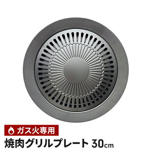 S Ăv[g 30cm ی^ KXΐp Ov[g ی` O S JZbgRp Ăpv[g Sv[g Lv o[xL[ AEghA  BBQ pi Lb`