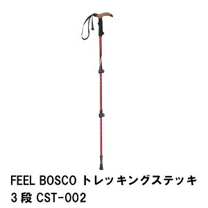 ステッキ 杖 登山 トレッキング スライド式 長さ80-110 軽量250g アルミ製 クイックロック 固定 簡単 2WAYグリップ 伸縮 便利