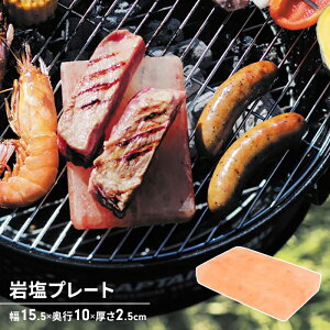 ≖ v[g q} VR BBQ 15.5 s10 2.5 Ă ~l \g AEghA Lv o[xL[ ԊO