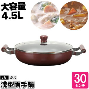  ^ IH 30cm ^ 傫 e  Wt 񂱓 悹 L`  Ă ȒP  H Ƒ