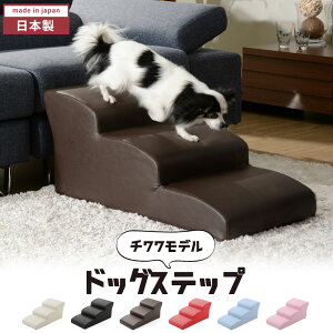 y|Cg5{ 08/22 12:00-09/05 09:59zhbOXebv 3i 35 { 40cm `f  p Xebv ybgp Ki v i PKh~  p Ki  X[v ybgX