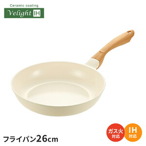 y|Cg5{ 11/21 10:00-12/05 09:59ztCp 26cm IH KX Z~bN   ؖڒnh zCg wOK uߓ ߓ Z~bNR[eBO ̌^ I[MΉ y