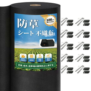 hV[g 1×10m 1×30m 1×50m 10Nϋv sDzV[g x100g/ Œst  ܕsv G΍ UVόܔz Gh~V[g  Hp |p lHŉ _ | ƒ