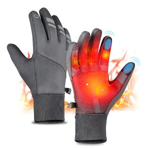 h TCNOO[u X}zΉ ]Ԏ N Y h H ~ ˃fUC H t ~ [hoCN g TCNO[u AEghA ʋΒʊw j