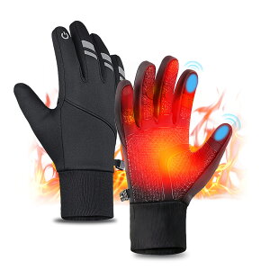 h TCNOO[u X}zΉ ]Ԏ N Y h H ~ ˃fUC H t ~ [hoCN g TCNO[u AEghA ʋΒʊw j