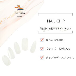 y550~OFFI݌ɌAEgbgzLetizialC`bv S5