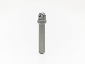 FMW Γ˃{bNXs@ENGނ A Α CV_C ^} K[ GT Ǝ ol ubR~ ꕨ