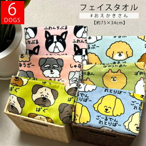 tFCX^I  75×34cm Rbg100 ^I  񂿂 IN^jR[|[V