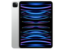 楽天市場】ipad pro 第4世代 512gbの通販