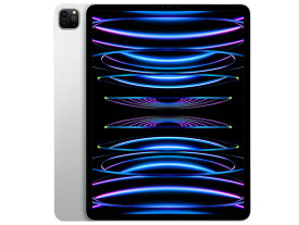 【中古】iPad Pro 第6世代 (ipad pro6) 12.9インチ