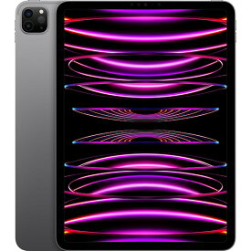 【中古】iPad Pro 第4世代 (ipad pro4) 11インチ