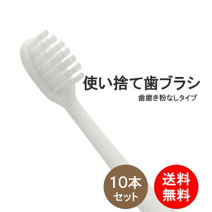 uV 10{ n~KL Ɩp ĝ  ͂Ԃ炵 |p |p HƗp nuV