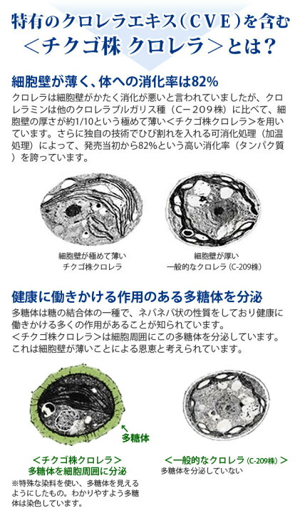 楽天市場】正規販売店 クロレラミン 2000粒 グロスミン CVE クロレラ 