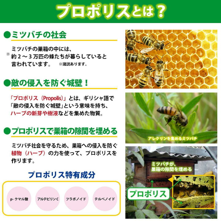 楽天市場】森川健康堂 プロポリス キャンディー 100g×2袋セット 健康 のど飴 送料無料 : World NEXT 楽天市場】森川健康堂 プロポリス キャンディー 100g×2袋セット 健康 のど飴 送料無料 : World NEXT