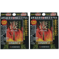 楽天市場】宝仙堂の凄十 impact 1-dayパックの通販
