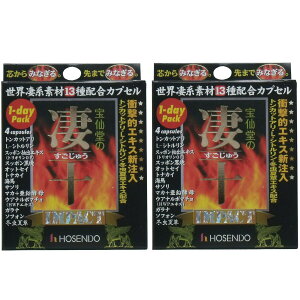 宝仙堂の凄十 IMPACT 1-DAYパック 4粒入×2箱セット 送料無料