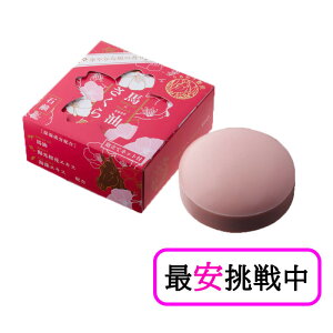 nΌ 100g Aălbgt ϐ΂ n XLPA 