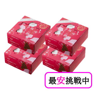 �n��������Ό� 100g 4�Z�b�g �A���ăl�b�g�t�� ���ϐ΂��� �n�� �X�L���P�A ������