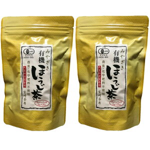 {蒃[ L@ق eB[obO (5g×18p)×2܃Zbg L@JAS 