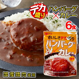 デカ盛り ハンバーグカレー レトルトカレー 国産鶏肉 使用 200g 1人前 × 6食セット 中辛 ボリューム満点 電子レンジ 簡単調理