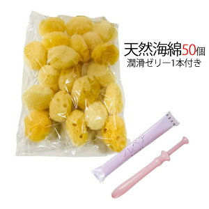 VRCȃVN 50 vyA 1{Zbg [[ Tj^[ qpi S fP[g][