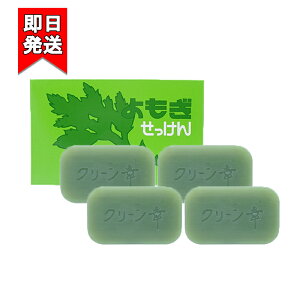 n̉ ̂  98g 4 MΌ 痿  Sgp Ō`΂