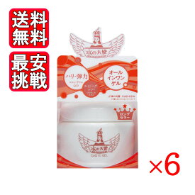 水の天使 CoQ10ゲル 150g 6個セット オールインワンゲル 化粧水 乳液 美容液