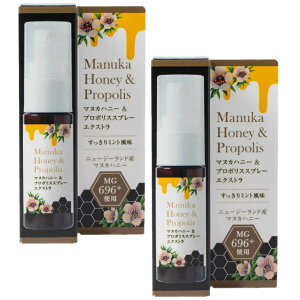 ̖ }kJnj[v|XXv[ GNXg 20ml×2Zbg 