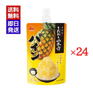 䑺 ̕X݂ pC 150g 24܃Zbg X Vbv َq AW