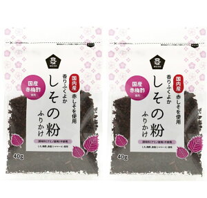 ̕ ӂ肩 40g 2܃Zbg  wsgp Y \[